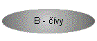 B - vy