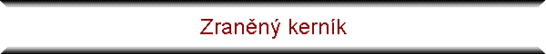 Zrann kernk