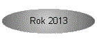Rok 2013