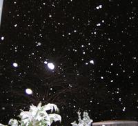 web_061228_snih_73.JPG