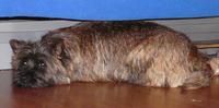 P1030758__Kenie_pod_posteli.jpg