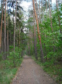 P1030444.JPG