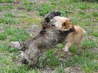 P1030247_holky_si_hraji.jpg